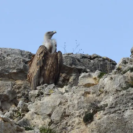 Σπίτι διακοπών Casa Fuentes De Ledina