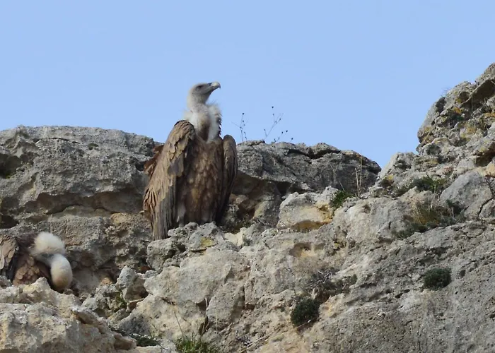Ferienhaus Casa Fuentes De Ledina